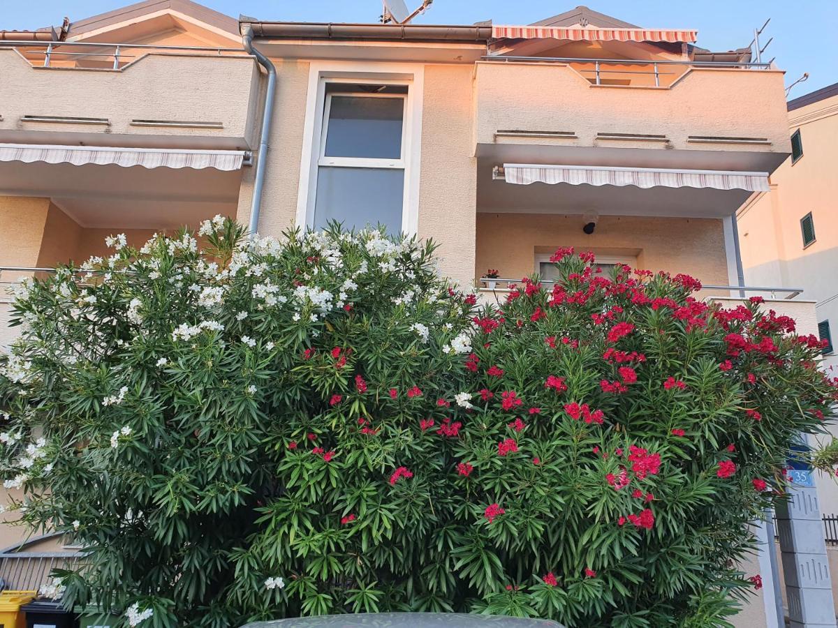 Zoretic Apartment *