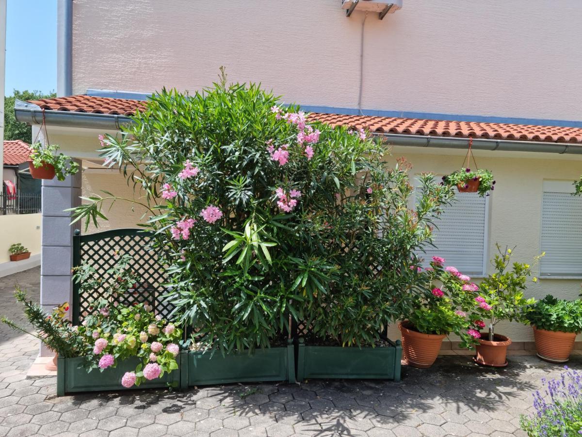 Apartmán Zoretic
